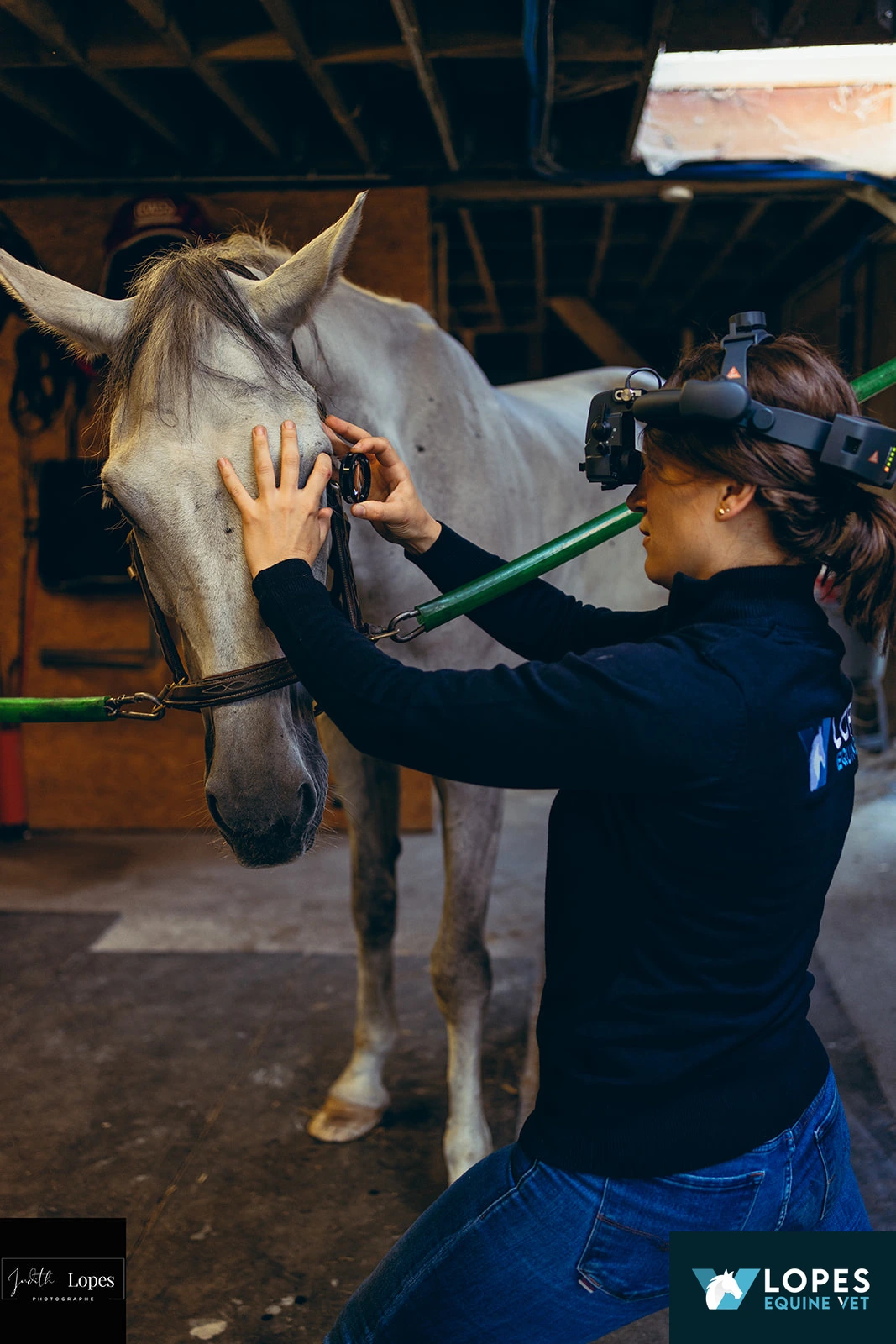 LOPES EQUINE VET
