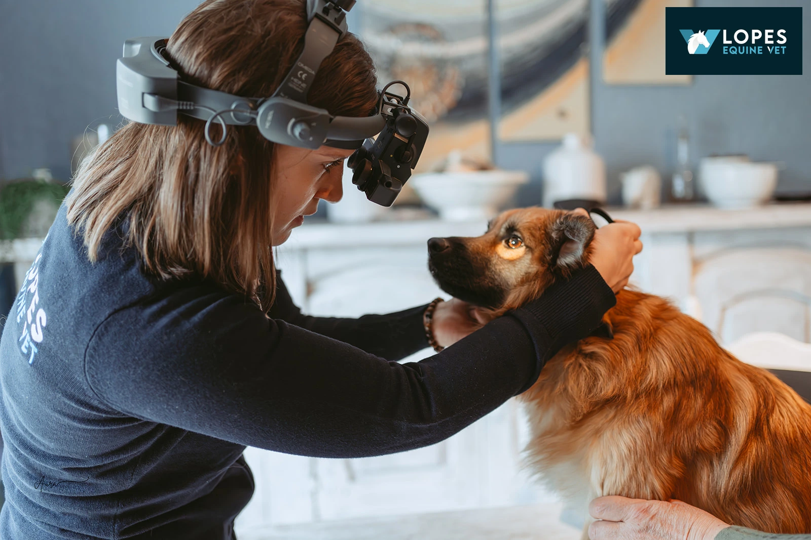 LOPES EQUINE VET