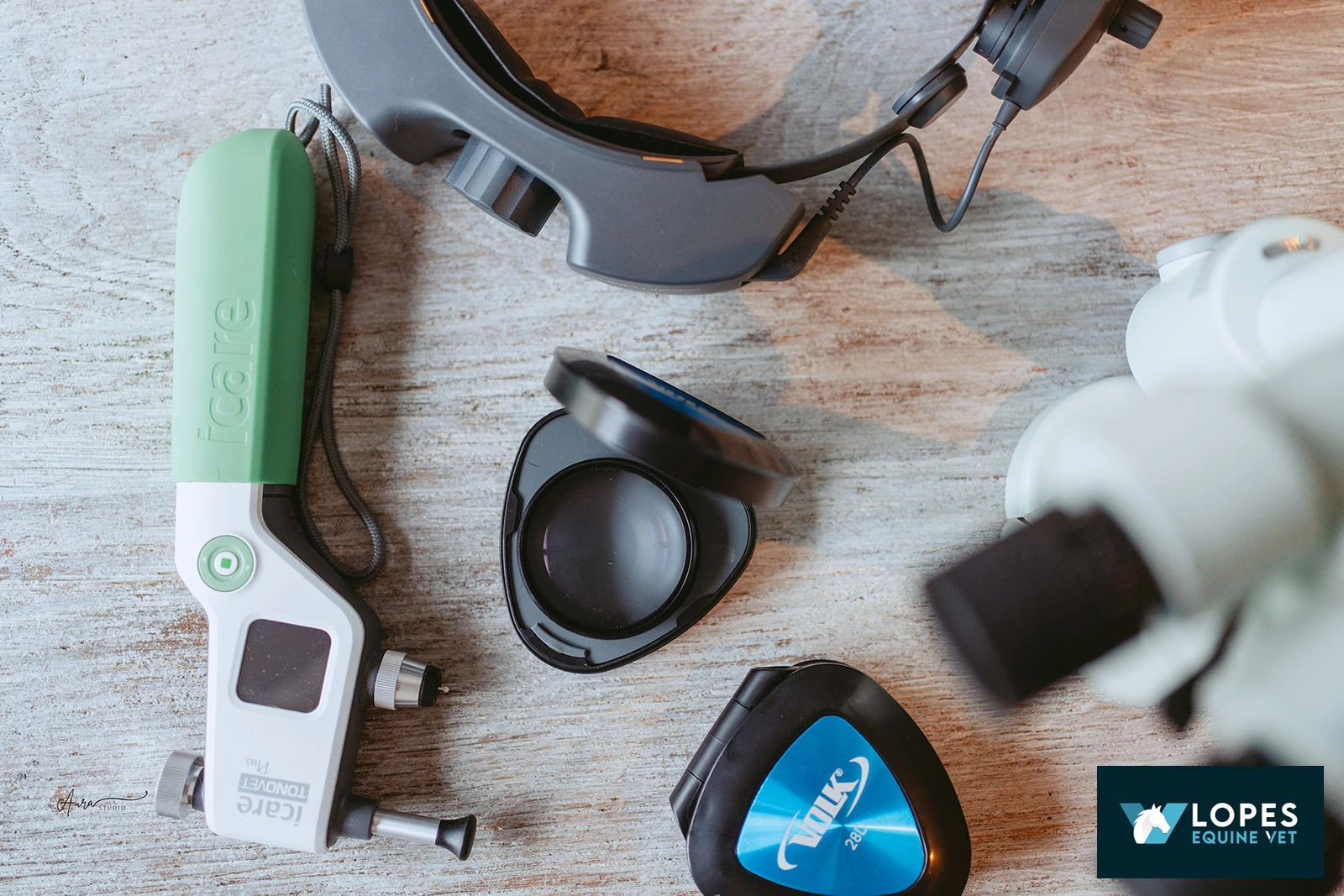 LOPES EQUINE VET