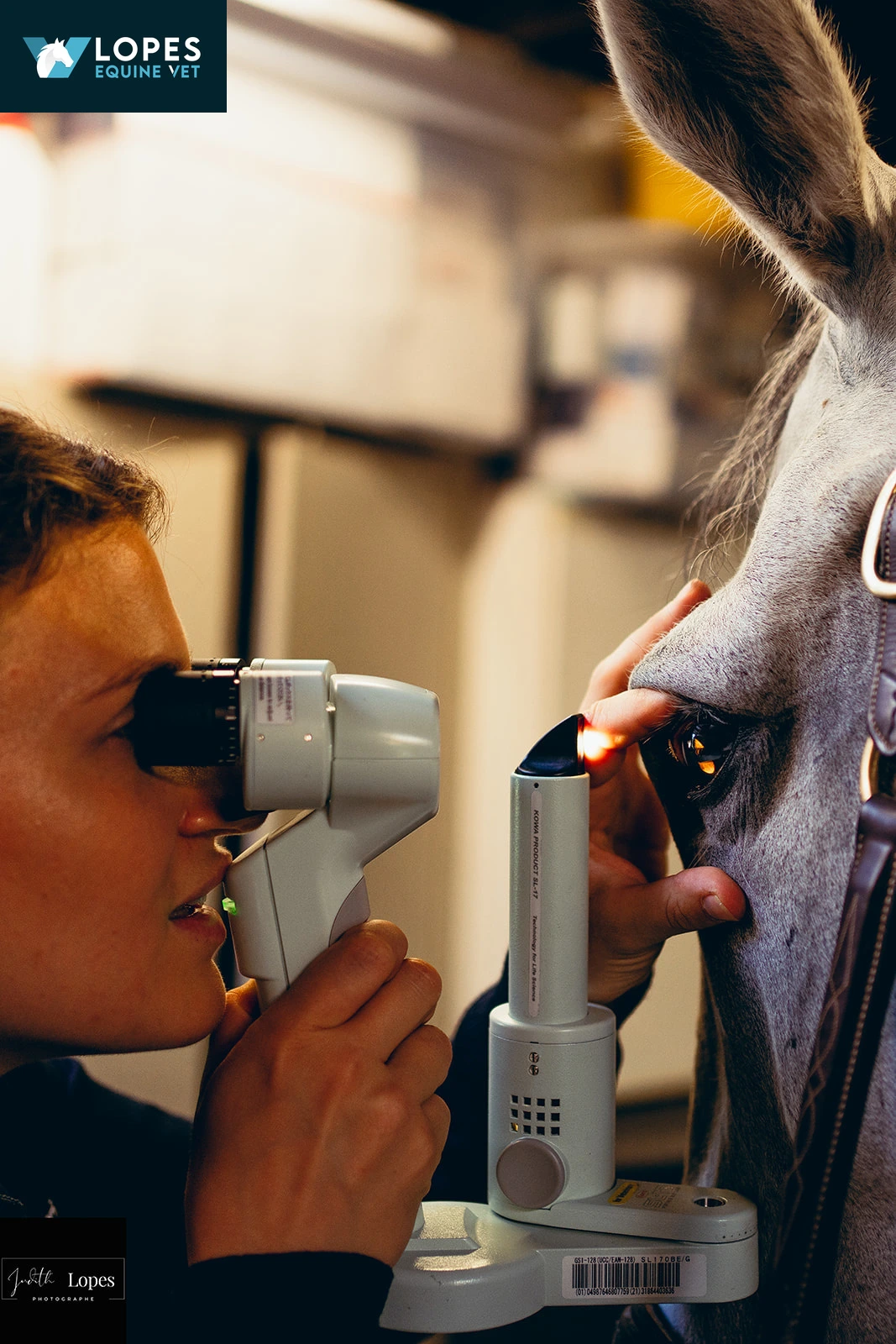 LOPES EQUINE VET