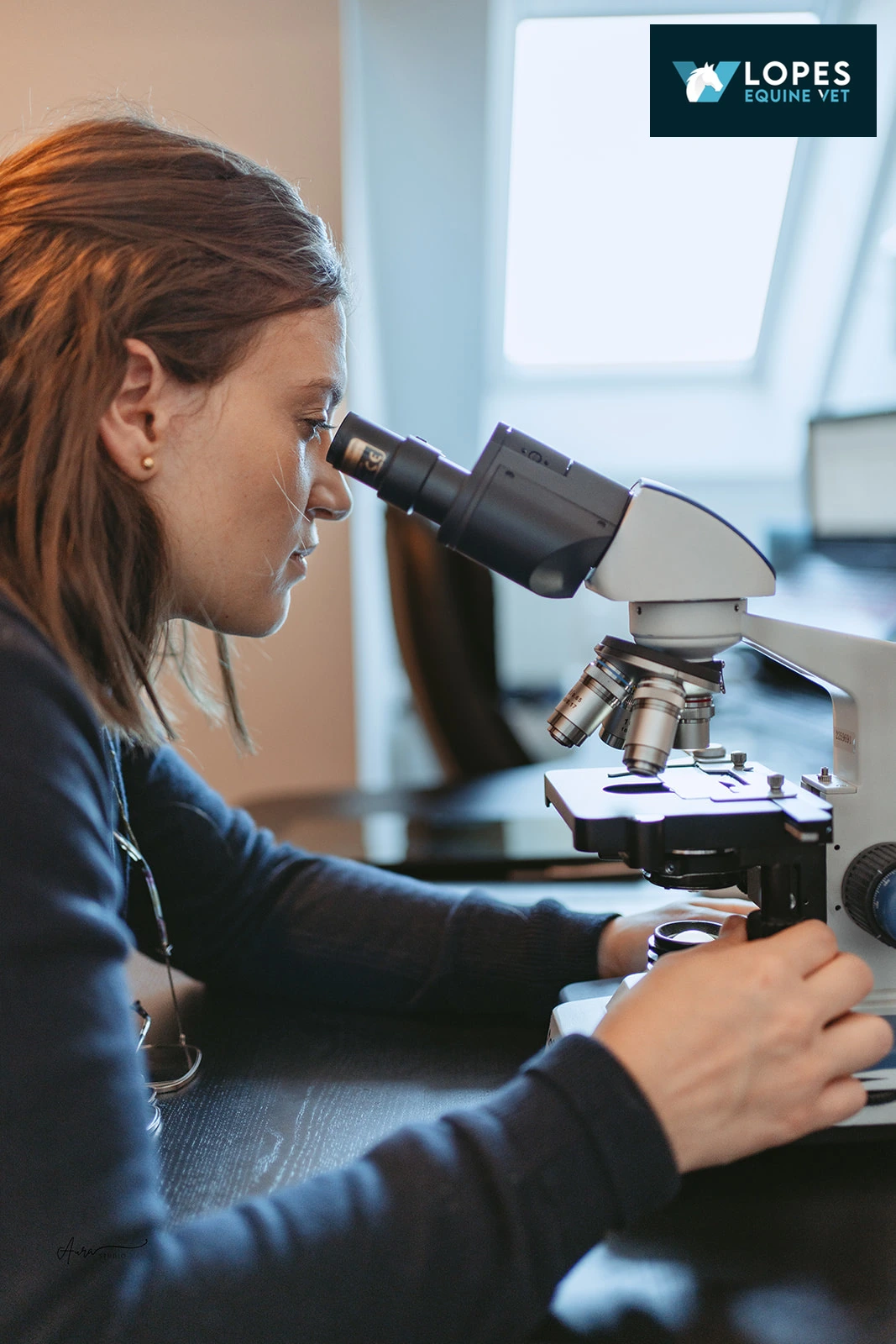 LOPES EQUINE VET