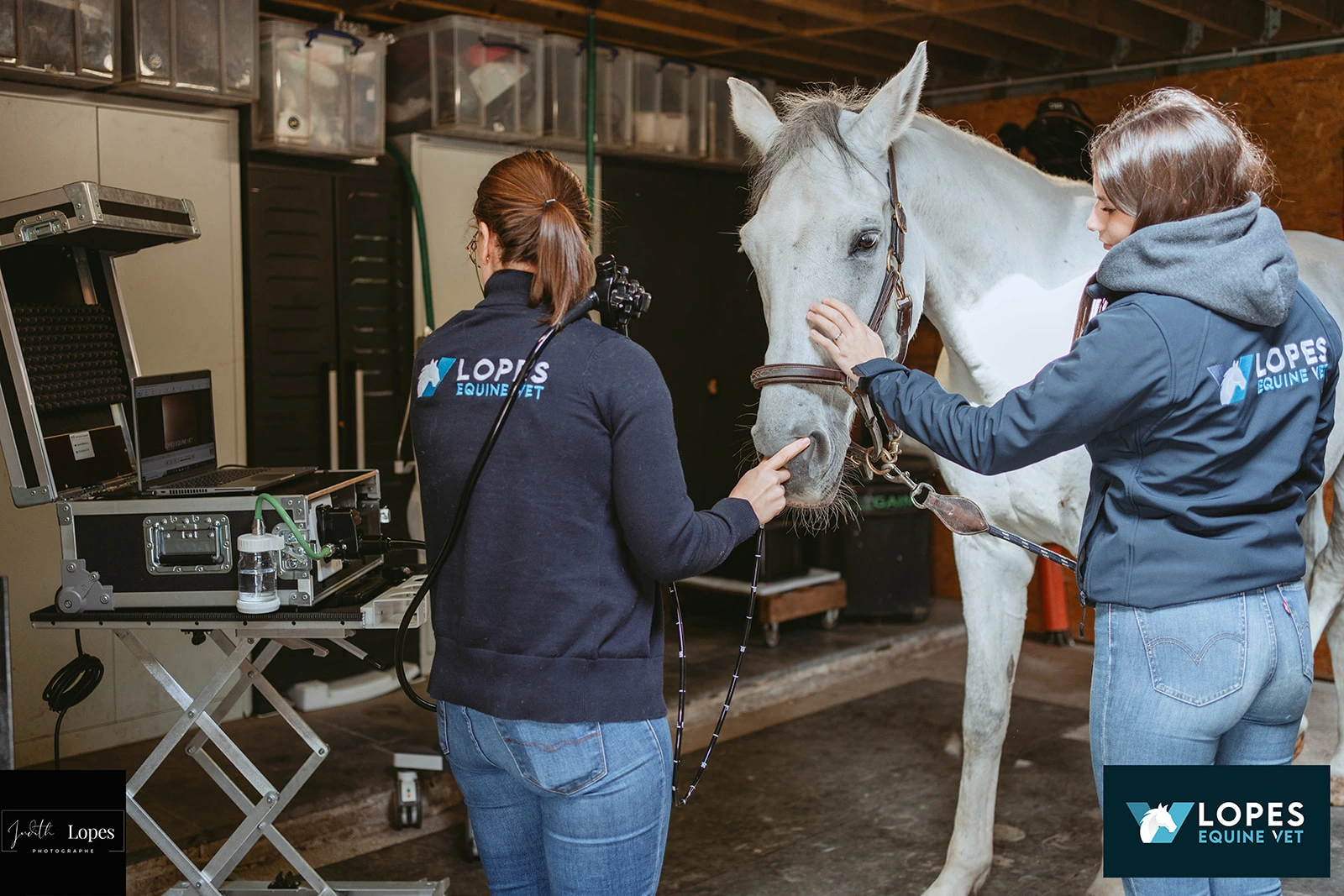 LOPES EQUINE VET