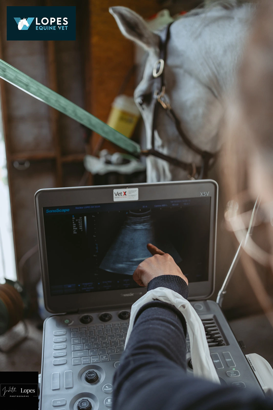 LOPES EQUINE VET