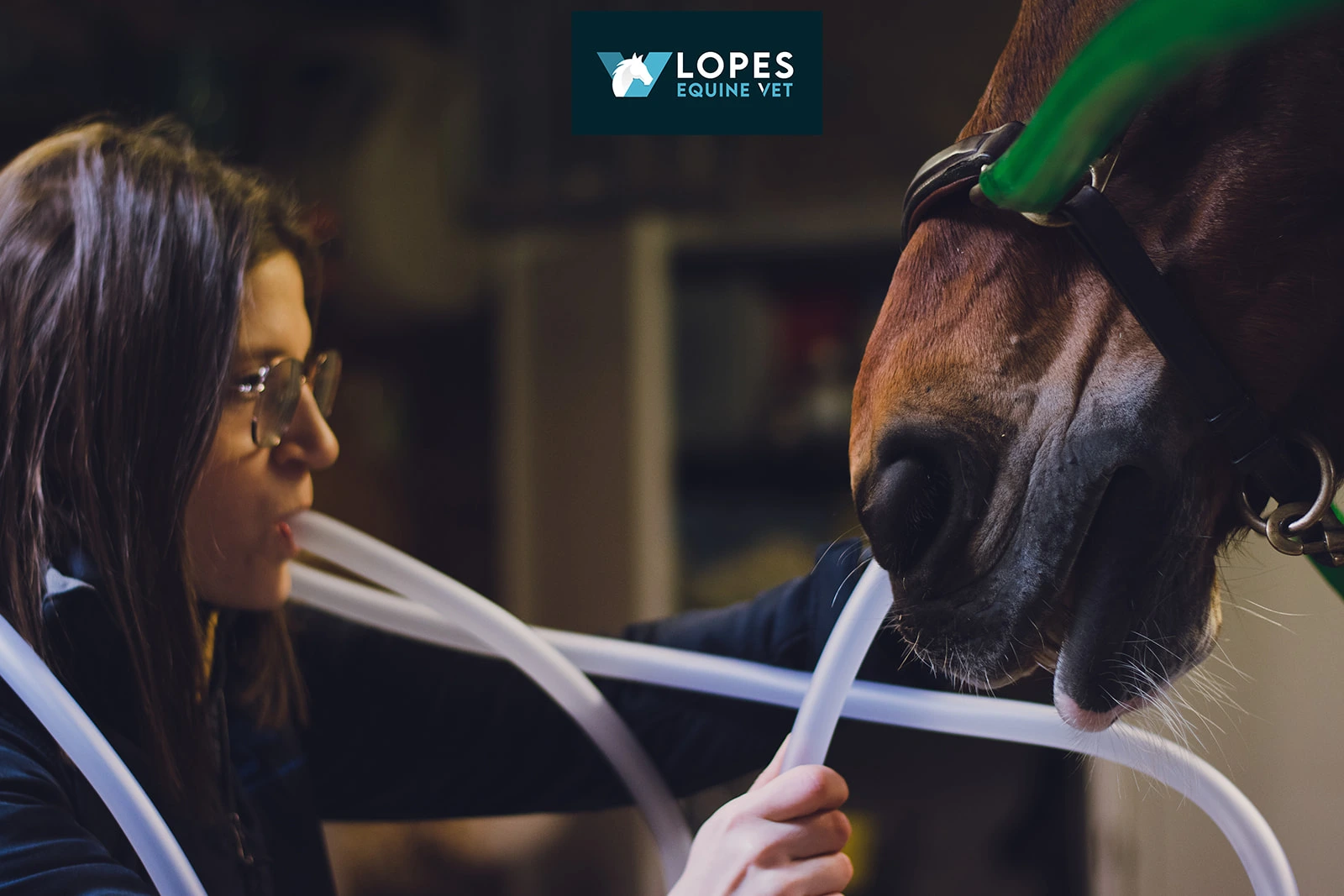 LOPES EQUINE VET