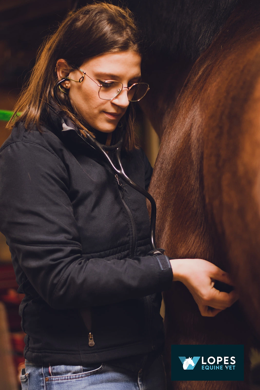 LOPES EQUINE VET